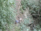 Погибшую молодую женщину рядом с Водопадом мертвых в Цыпово обнаружил подросток