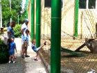 Издевательства детей над животными в румынском зоопарке сняли на видео
