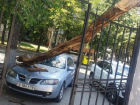 Огромная ветка обрушилась на автомобиль в самом центре столицы