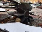 ВСУ атаковали пограничный пункт в Брянской области – погиб гражданин Молдовы 