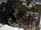 Жуткое убийство в Кагуле: мужчина расправился с приятелем стаканом и бросил труп выгребную яму