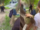 Мужчина с ножом в руке искал закладку во дворе, полном детьми