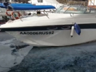 Нашествие медуз в Крыму превратило воду в студень и попало на видео