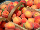 Ситуация с персиками – слишком много для Молдовы, слишком мало для экспорта