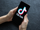 TikTok зачистил молдавское инфопространство от миллионов фейков в период выборов