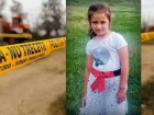 Стали известны жуткие подробности убийства 7-летней девочки