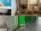 Тараканы, обвалившаяся штукатурка и убогие туалеты: в каких условиях живут студенты в общежитиях