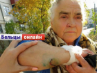 В Бельцах 78-летнюю старушку едва не загрызли бродячие собаки