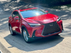Домника Маноле купила себе новый Lexus