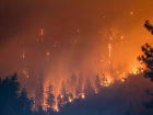 В Молдове могут начаться лесные пожары