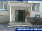 Жителей жилой многоэтажки в Кишиневе терроризируют … блохи
