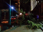 Протараненное BMW дерево рухнуло на автомобиль у здания правительства в Кишиневе