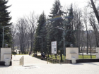 В столичном парке «Алунелул» возобновились работы 