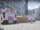 Яркие веселые коровки появились возле столичной больницы 