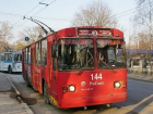 Кровососущие насекомые атаковали людей в троллейбусах Бельц