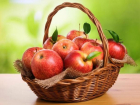 В рамках года Молдовы в России в Костроме пройдет Праздник яблок 
