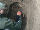 На Днестровском плацдарме поисковики обнаружили захоронение солдат