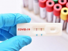 В Молдову поступят еще 100 тысяч экспресс-тестов на коронавирус 