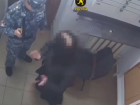 Адвоката из Бельц осудили на 8 лет за попытку пронести наркотики в тюрьму 