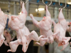 В Молдове запретили импорт куриной продукции из Винницкой области