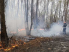 Новая напасть - на границе Молдовы с Румынией бушуют пожары в тростниках и сухостоях