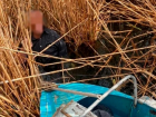 Уроженец Молдовы едва не замерз в камышах в Кучурганском водохранилище