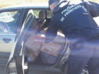 Подозрительные колбасы и обувь вез в автомобиле житель Бричан