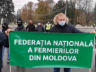 Александр Муравский раскрыл подноготную "протестов" фермеров