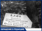 Дерево Гагарина в Кишиневе: табличка установлена не там - "Кадетское Братство"