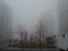 Ежики в тумане - какая погода ждет нас сегодня