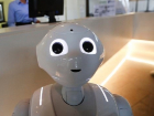 Впервые молдавский турист столкнулся в итальянском отеле с разговорчивым роботом