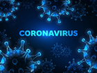 Отчеты по коронавирусу: Минздрав изменит формат