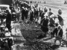 Либералы Гимпу опозорились с фейковыми фото депортаций