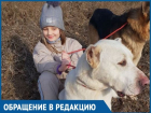 - Прошу помочь в розыске спасенной собаки, - Кристина Ротаренко