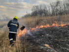 Камыши и трава - пожарные ликвидировали 20 очагов возгорания