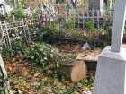 На Армянском кладбище в Кишиневе спиленные деревья повредили множество надгробий