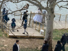В Кишиневе в разгар карантина бурно сыграли свадьбу в парке Валя Трандафирилор