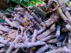Более 500 гранат времен Второй мировой войны было обнаружено на берегу реки Ботна 