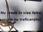 Как не стать жертвой торговцев людьми: правоохранительные органы Молдовы предупреждают