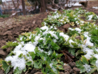 Молдавские аномалии - в Тараклии выпал снег