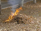 Сжигание сухой листвы грозит серьезными штрафами