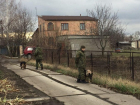 Чудовищное зверство: мужа, жену и ребенка связали, подвергли пыткам и убили в "украинском" Донбассе 