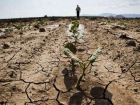Молдова - в топе стран мира в рейтинге засухи