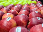 Молдова сталкивается с проблемой экспорта яблок