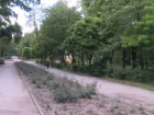 Власти отказывают в установке мусорных корзин в парках на том основании, что "там, где корзины, там больше всего мусорят"