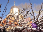 Вербное воскресенье в Молдове будет не очень теплым, но без осадков