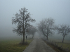 Туман в Молдове - что надо и не надо делать на улице, особенно в рамках автодвижения