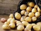 В Молдове становится все меньше картофеля