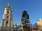"Сбежавшая из Молдовы" позорная ёлка, установленная в Киеве, стала предметом массовых издевательств 