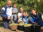 Вино из рислинга с участка, который подготовил отец, сделали президент Молдовы и его сыновья